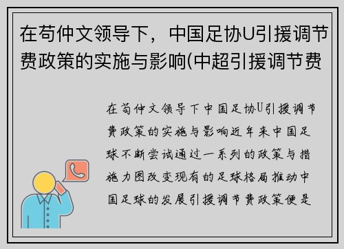 在苟仲文领导下，中国足协U引援调节费政策的实施与影响(中超引援调节费怎么算)