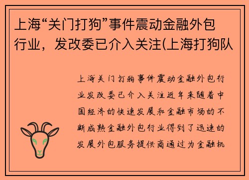 上海“关门打狗”事件震动金融外包行业，发改委已介入关注(上海打狗队热线2019)