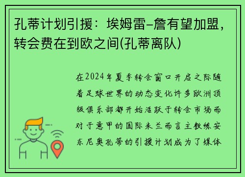 孔蒂计划引援：埃姆雷-詹有望加盟，转会费在到欧之间(孔蒂离队)