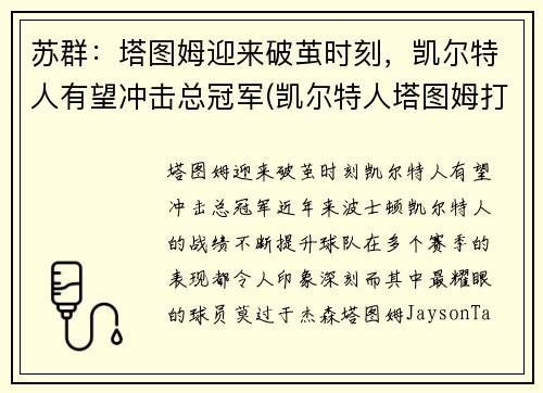 苏群：塔图姆迎来破茧时刻，凯尔特人有望冲击总冠军(凯尔特人塔图姆打中锋可以吗)